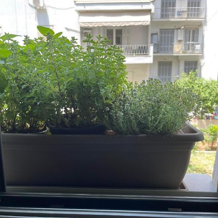 Sapfo Luxury Apartment 1 In Атина Екстериор снимка